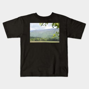 Cades Cove 1 Kids T-Shirt